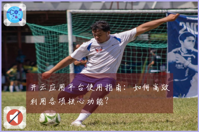 开云应用平台使用指南：如何高效利用各项核心功能？