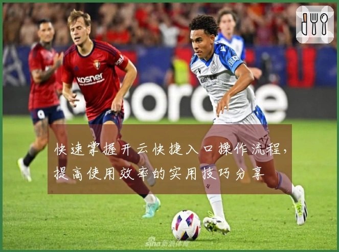 快速掌握开云快捷入口操作流程，提高使用效率的实用技巧分享