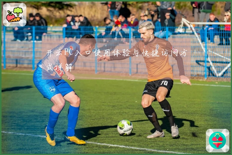 开云PC入口使用体验与快捷访问方式详解