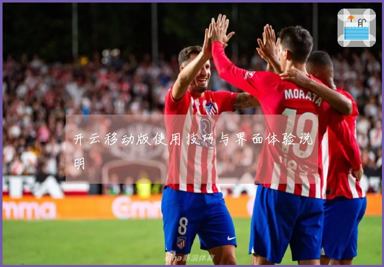 开云移动版使用技巧与界面体验说明