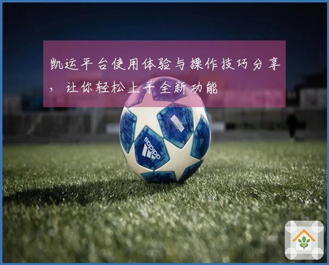 凯运平台使用体验与操作技巧分享，让你轻松上手全新功能